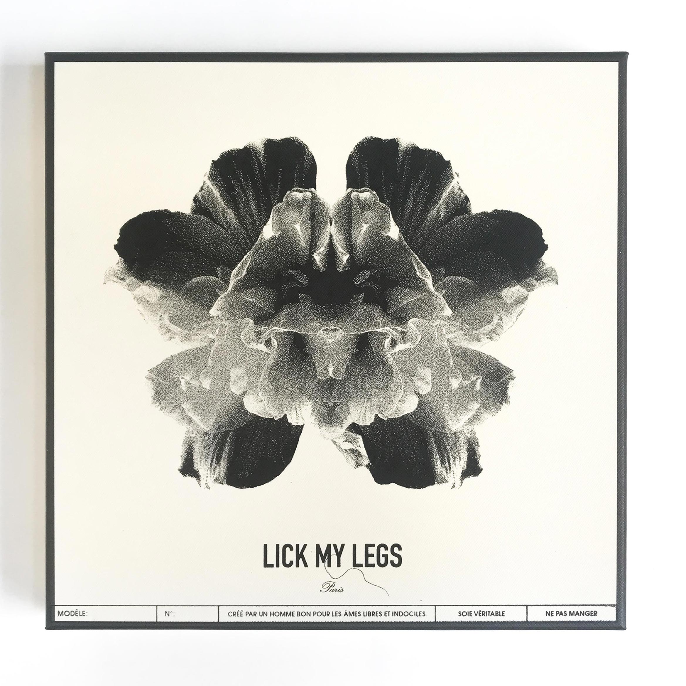 photo de boite à foulard ibiscus